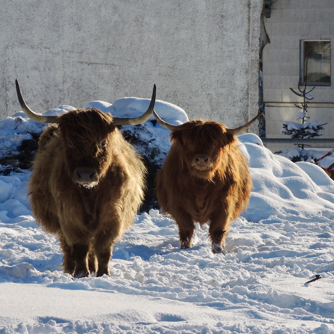 Tipps fürs Wintercamping: 3 Fragen an Marlis Jonas