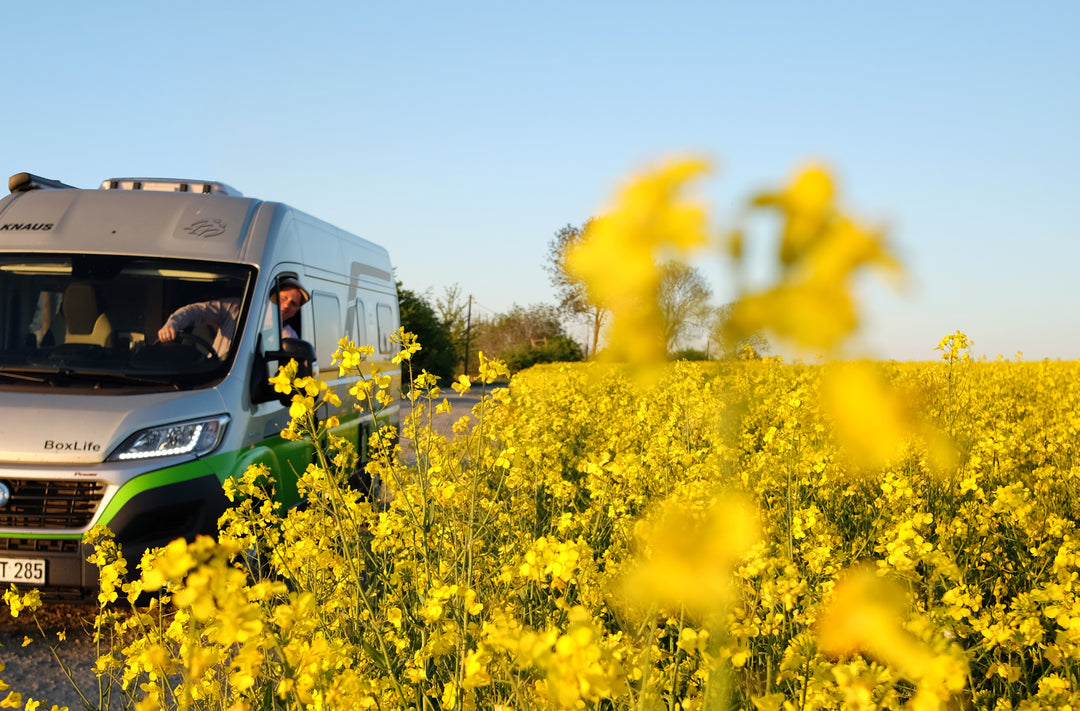 Unterwegs mit Landvergnügen: Zu Gast bei deutschen Ölmanufakturen