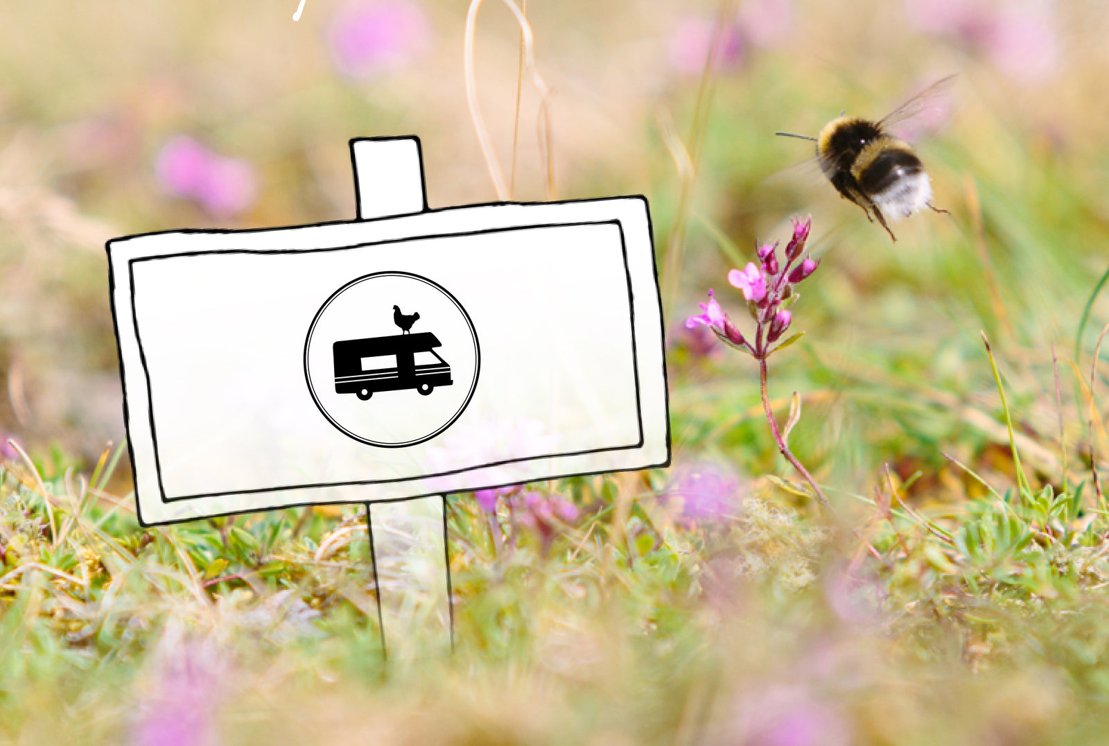 Helfen Sie unseren Bienen und werfen Sie Samenkugeln!