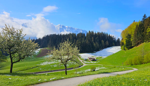Beste Aussichten: Urlaubstipps für Österreich