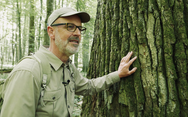 3 Fragen an Peter Wohlleben zum Film "Das geheime Leben der Bäume"