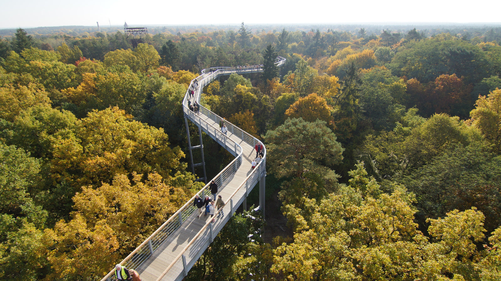 Ausflugstipp: Der Baumkronenpfad Beelitz
