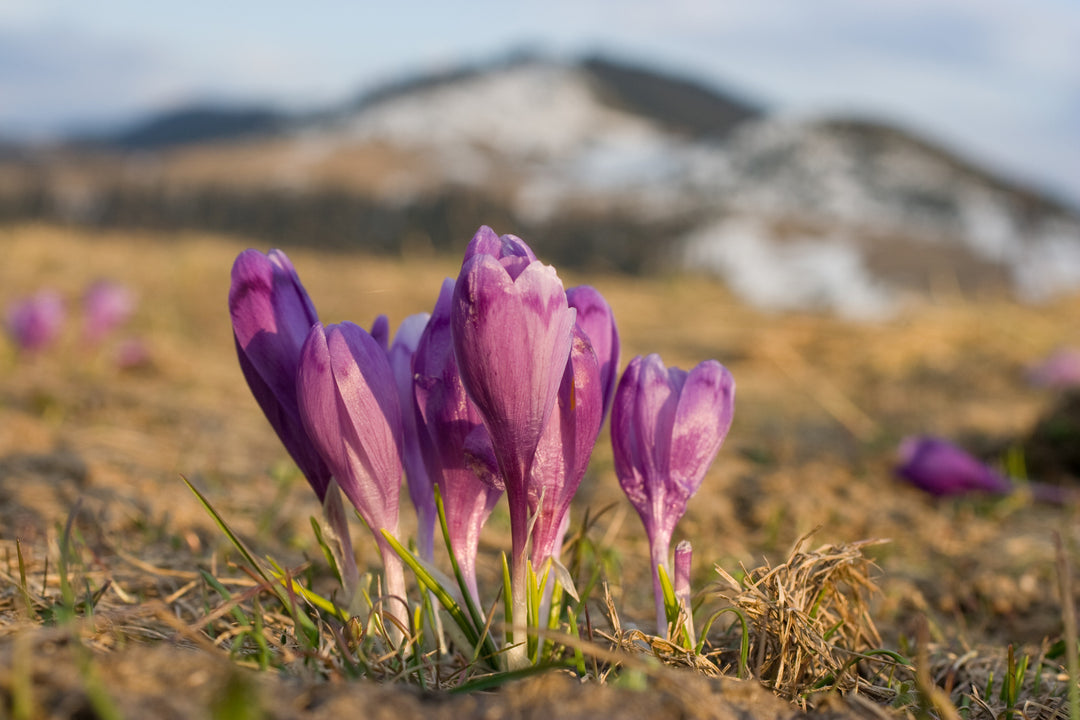 Ostern in Südtirol