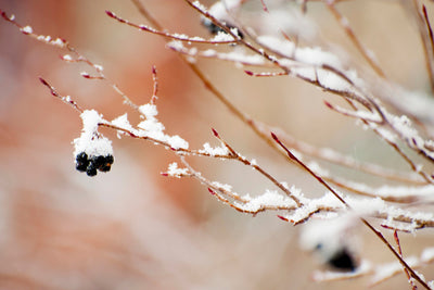 Silvester ohne Böller-Stress