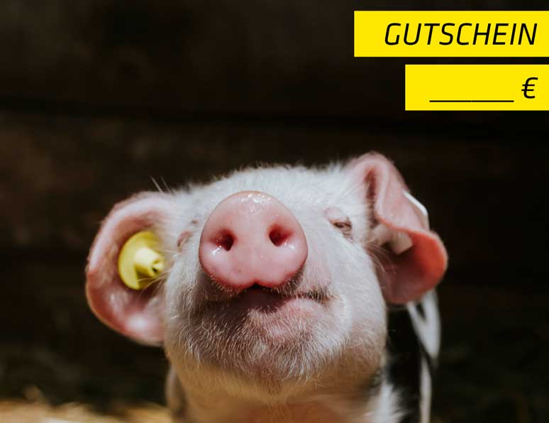 Last-Minute-Geschenk: Gutschein von Landvergnügen