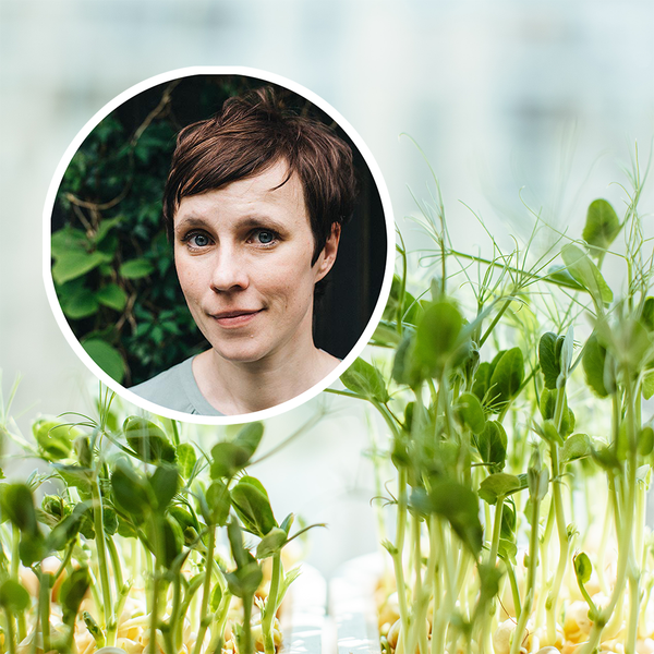 Interview mit Carolin Engwert : Gärtnern ohne Garten