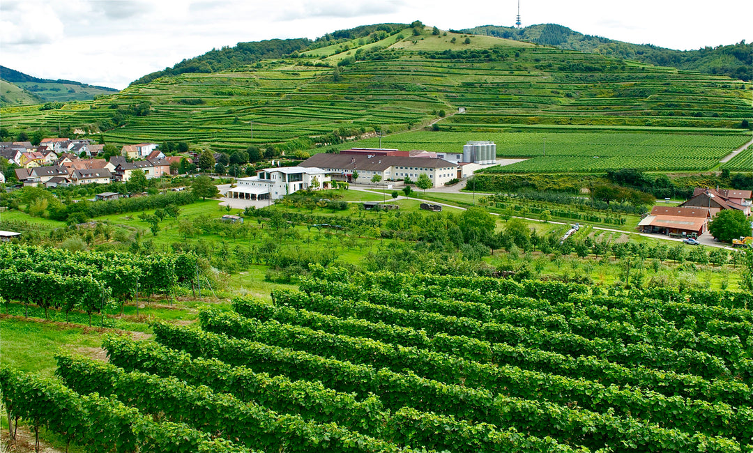 Preisregen für Landvergnügen Gastgeber
