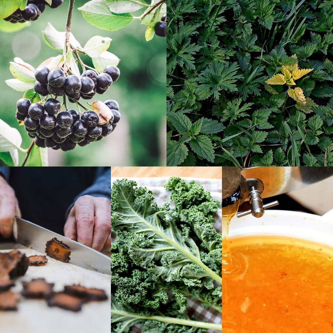 Fünf regionale Superfoods für den Winter