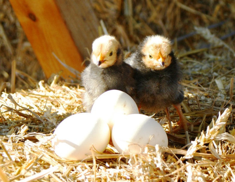 Ostern bei unseren Gastgebern