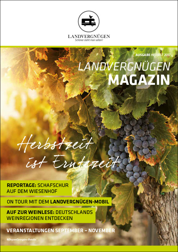 Magazin: Herbst 2017