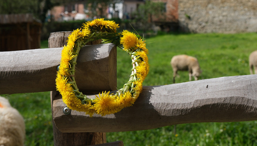 5 Ideen für den Mai-Liebling Löwenzahn