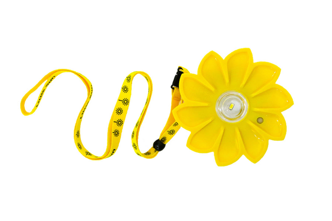 Little Sun