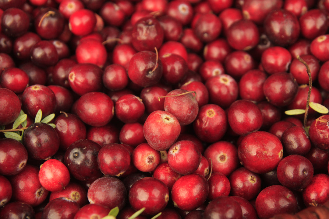 Rezept: Thanksgiving-Sauce aus Cranberrys