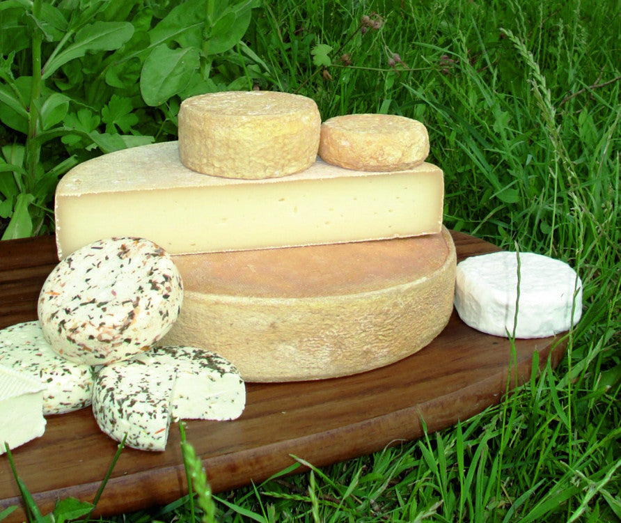 Alles Käse?