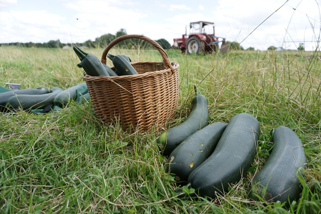 Mit WWOOF das Landleben entdecken