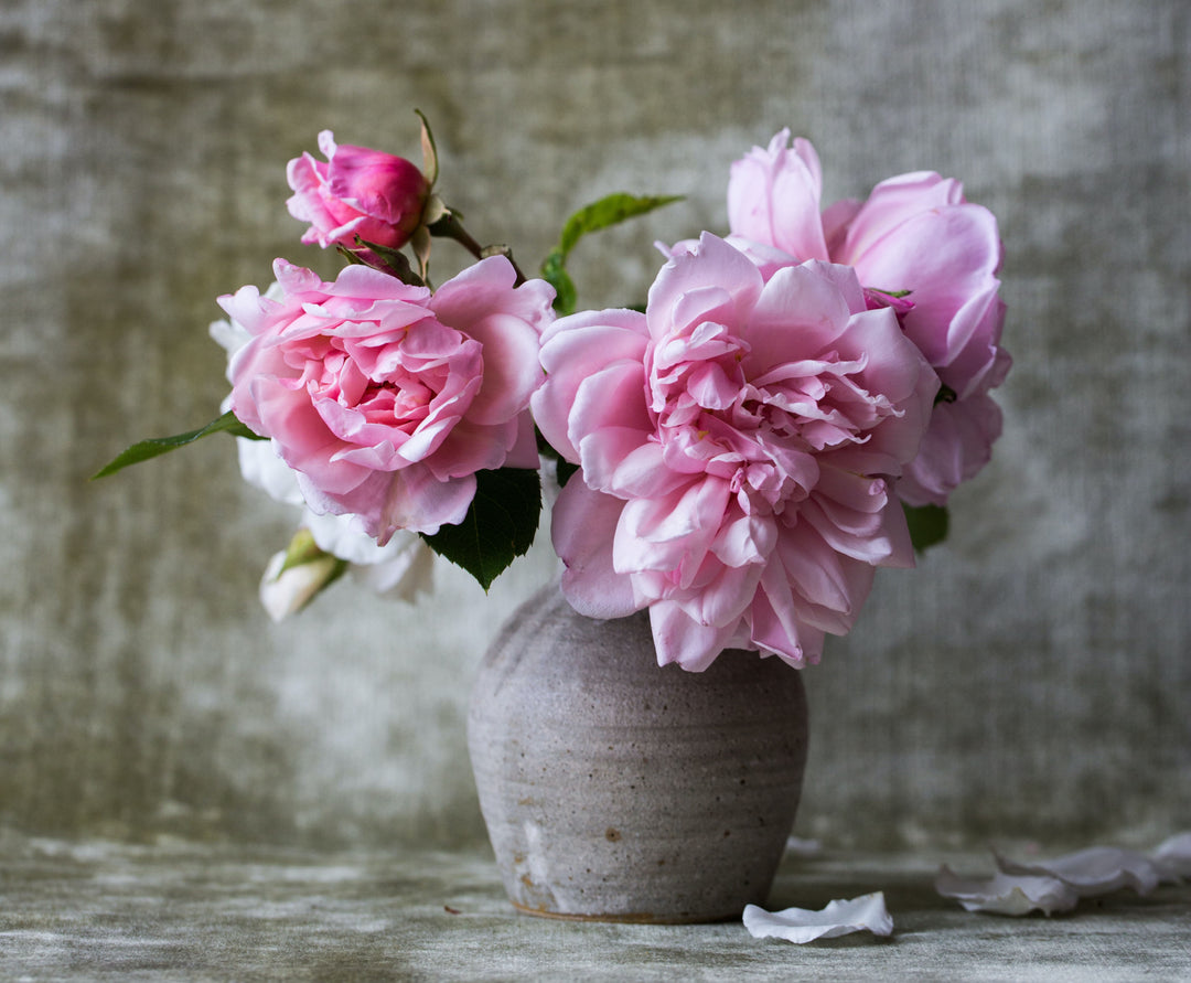 Die Rosen rufen