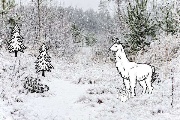Neue Adventsgeschichten aus dem Landvergnügen