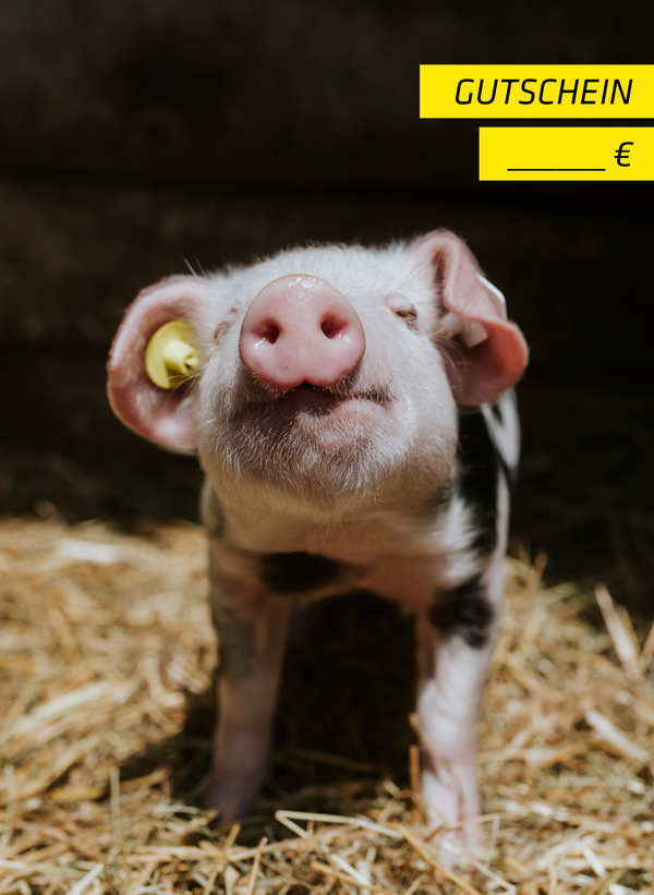 Geschenkgutschein für Campingfans