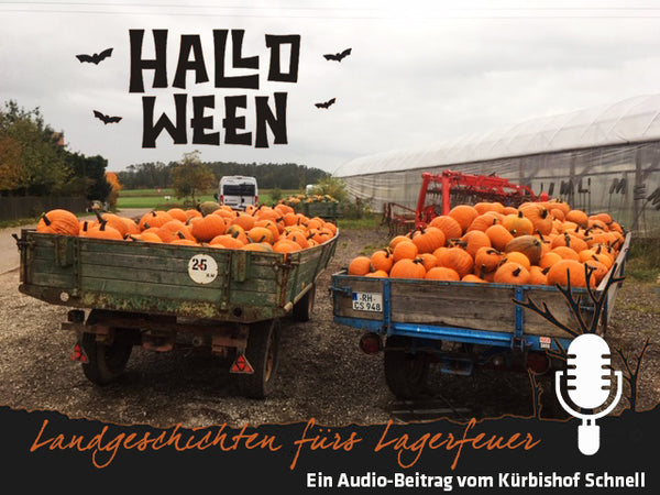 Happy Halloween: Audio-Landgeschichte fürs Lagerfeuer