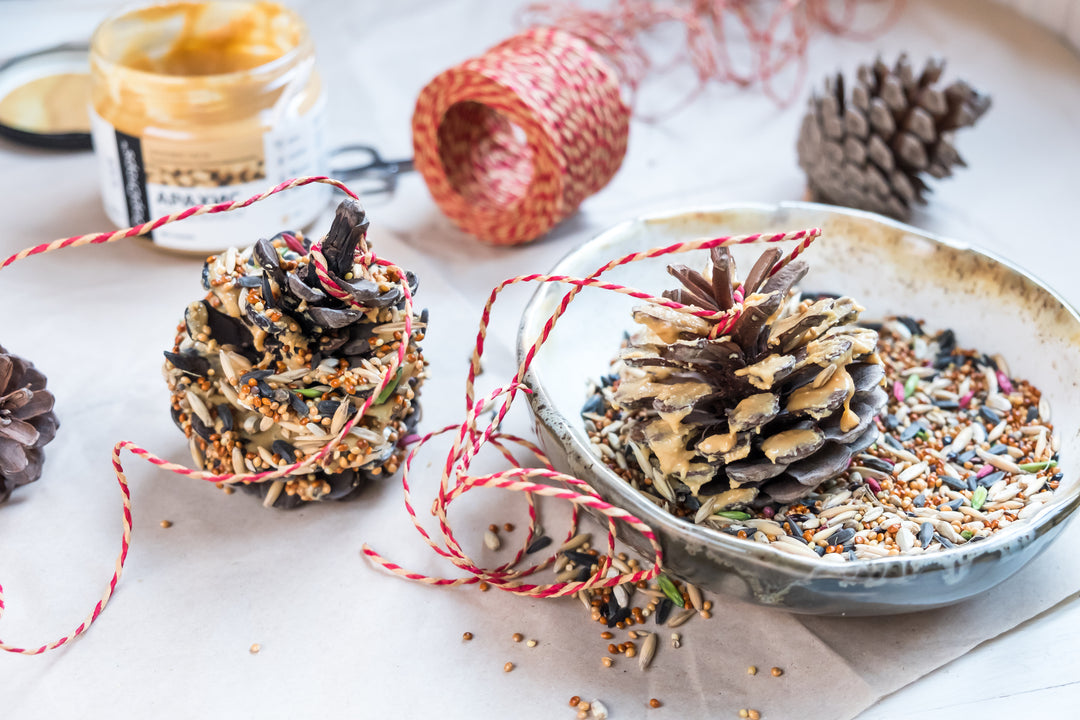 DIY: Futterzapfen für Wintervögel