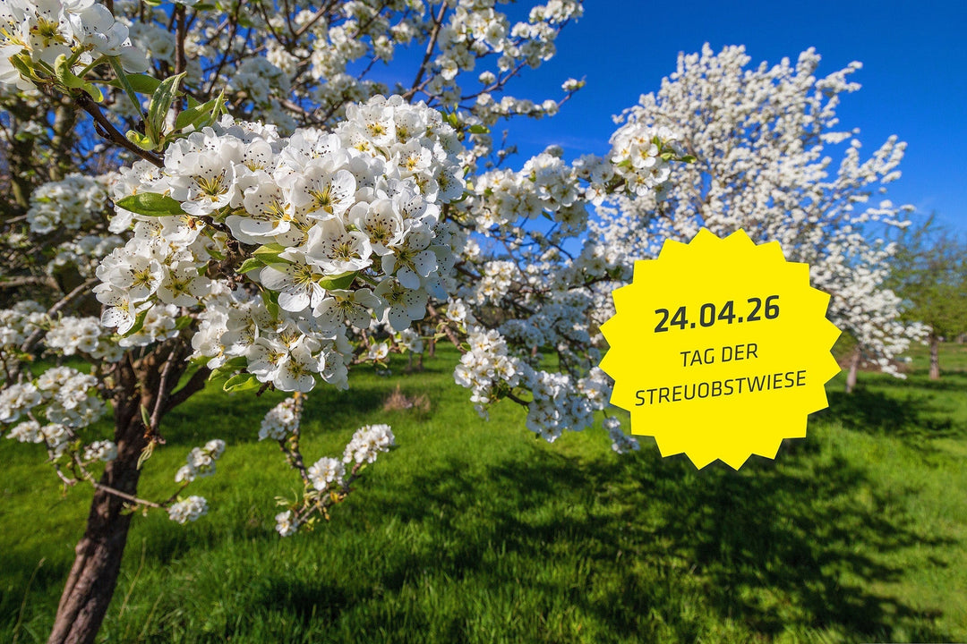 Es lebe die Streuobstwiese!