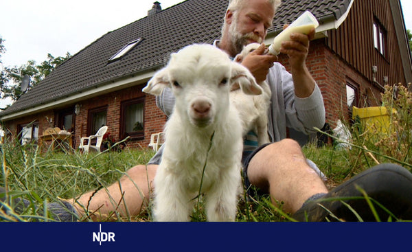 Landvergnügen in der "nordstory" des NDR