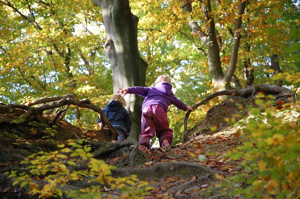 Ab in den Wald!