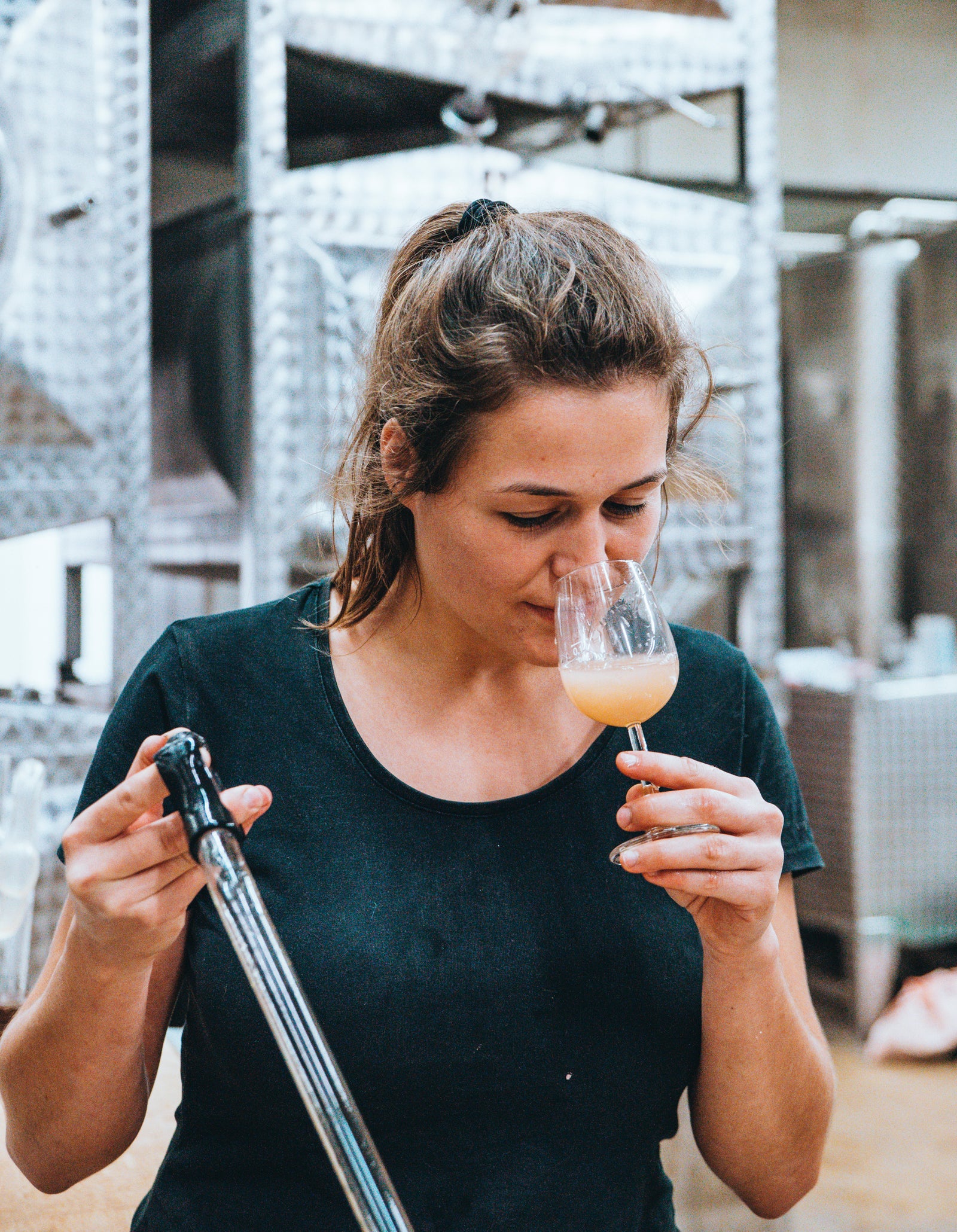 Wein-Wissen für Anfänger