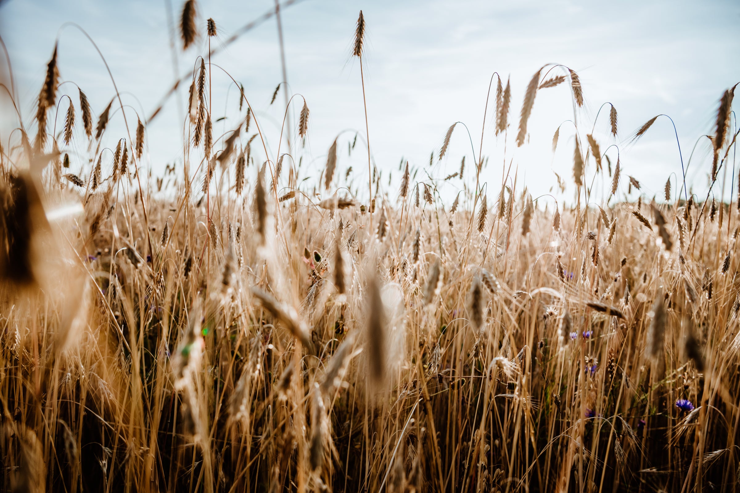 Landvergnügen Der andere Stellplatzführer Landvergnügen Reise und