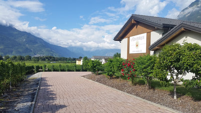 Swiss Terroir 2023
