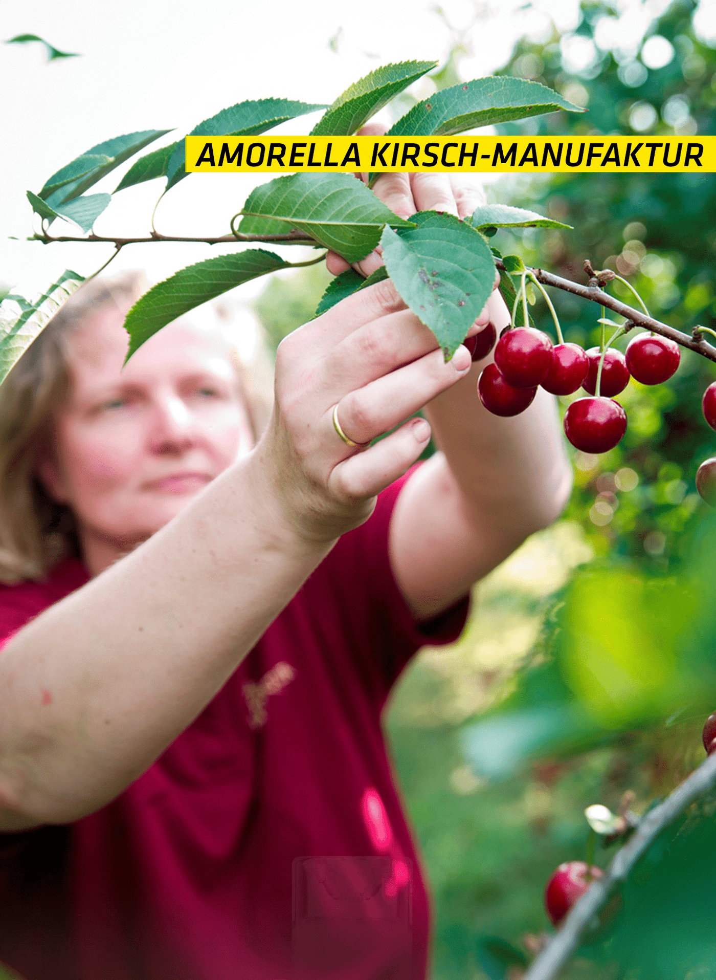 Amorella Kirsch-Manufaktur Kirschbrand