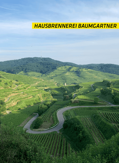 Hausbrennerei Baumgartner Weintresterbrand / Eichenfass gereift