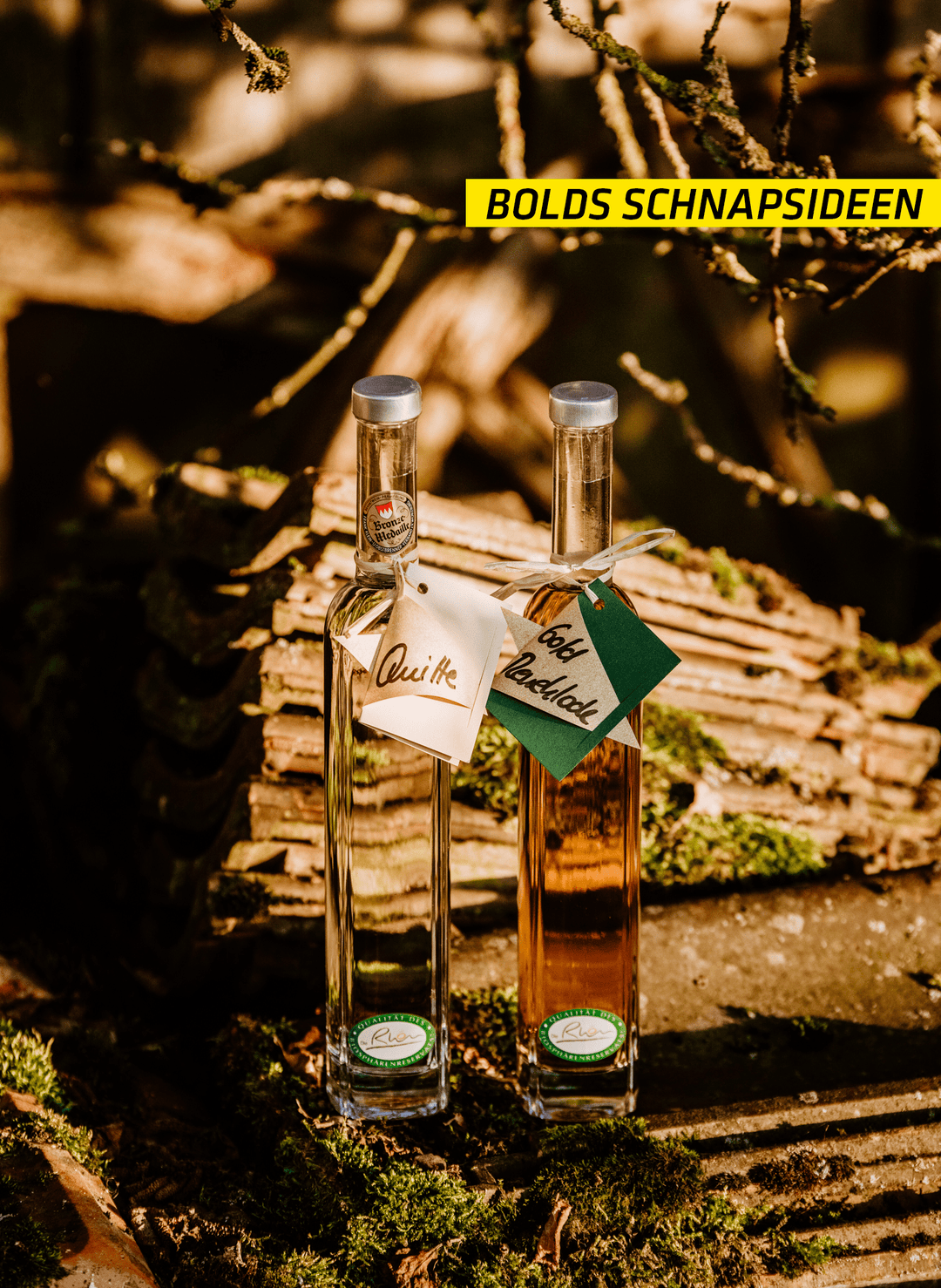 Bolds Schnappsideen Bio-Gin Klares Grün