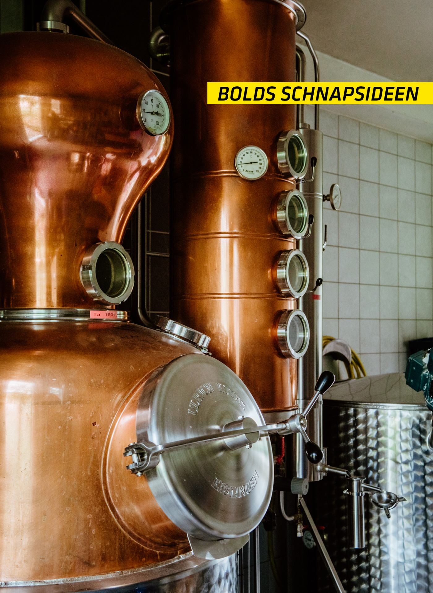 Bolds Schnappsideen Bio-Gin Klares Grün