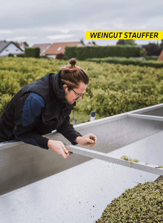 Weingut Stauffer Scheurebe Bio