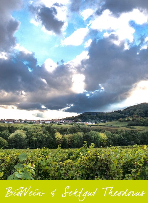 BioWein- &amp; Sektgut Theodorus Pinot Rosé Cuvée