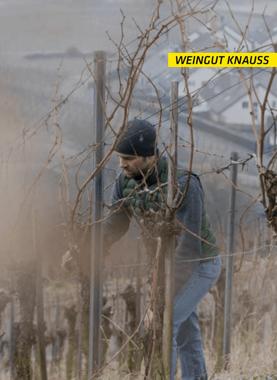 Weingut Knauß Spätburgunder