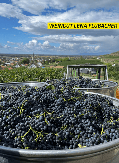 Weingut Lena Flubacher Spätburgunder Rosé