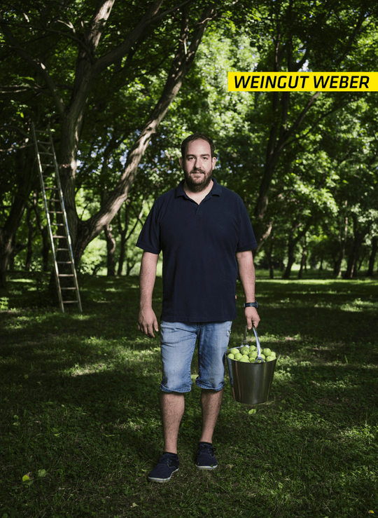 Weingut Weber Walnusslikör