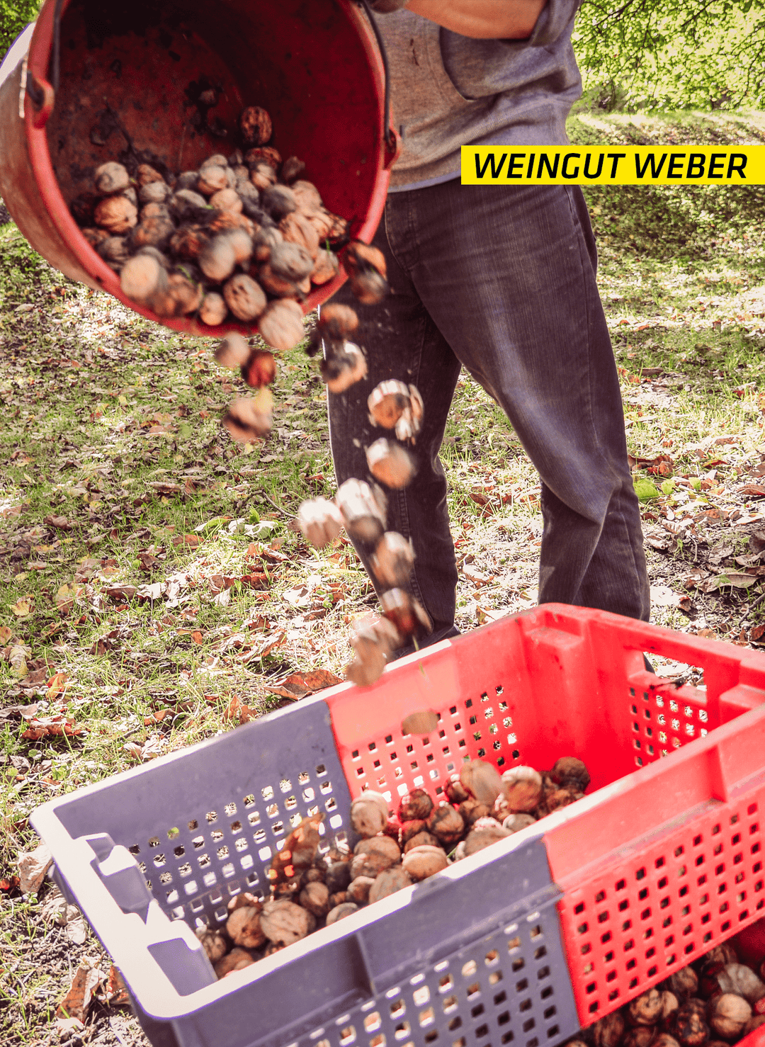 Weingut Weber Zweimann Gin